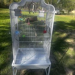 Bird cage