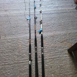 2 Left Saltwater Fishing Rods White Is Gone