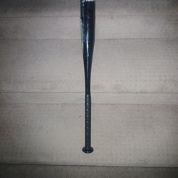 Old Baseball Bat