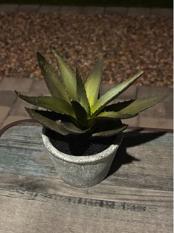 Faux Aloe Plant