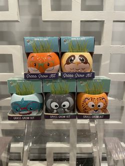 Buzzy Grass Grow Kit - Fox, Owl, Shark, Elephant, Cheetah