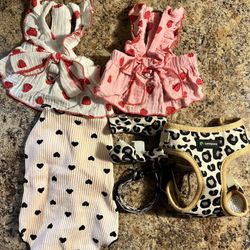 Xs Female Dog Clothes And Harness 