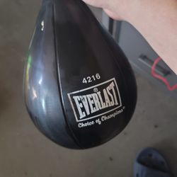 Everlast Speed Bag $20