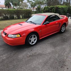 2000 Ford Mustang