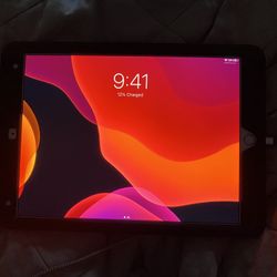 Rose Gold 10.5 Inch iPad Pro