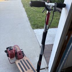 Gas Scooter 