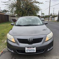 2010 Toyota Corolla