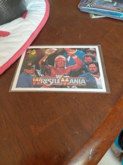 Hulk Hogan!!!