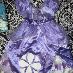 Girls Sofia Costume 