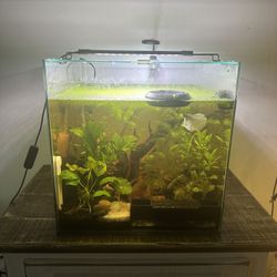 Fish Tank BRAND NEW 14 Gallon EVERYTHING INCLUDED