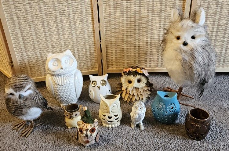 Owl Decor