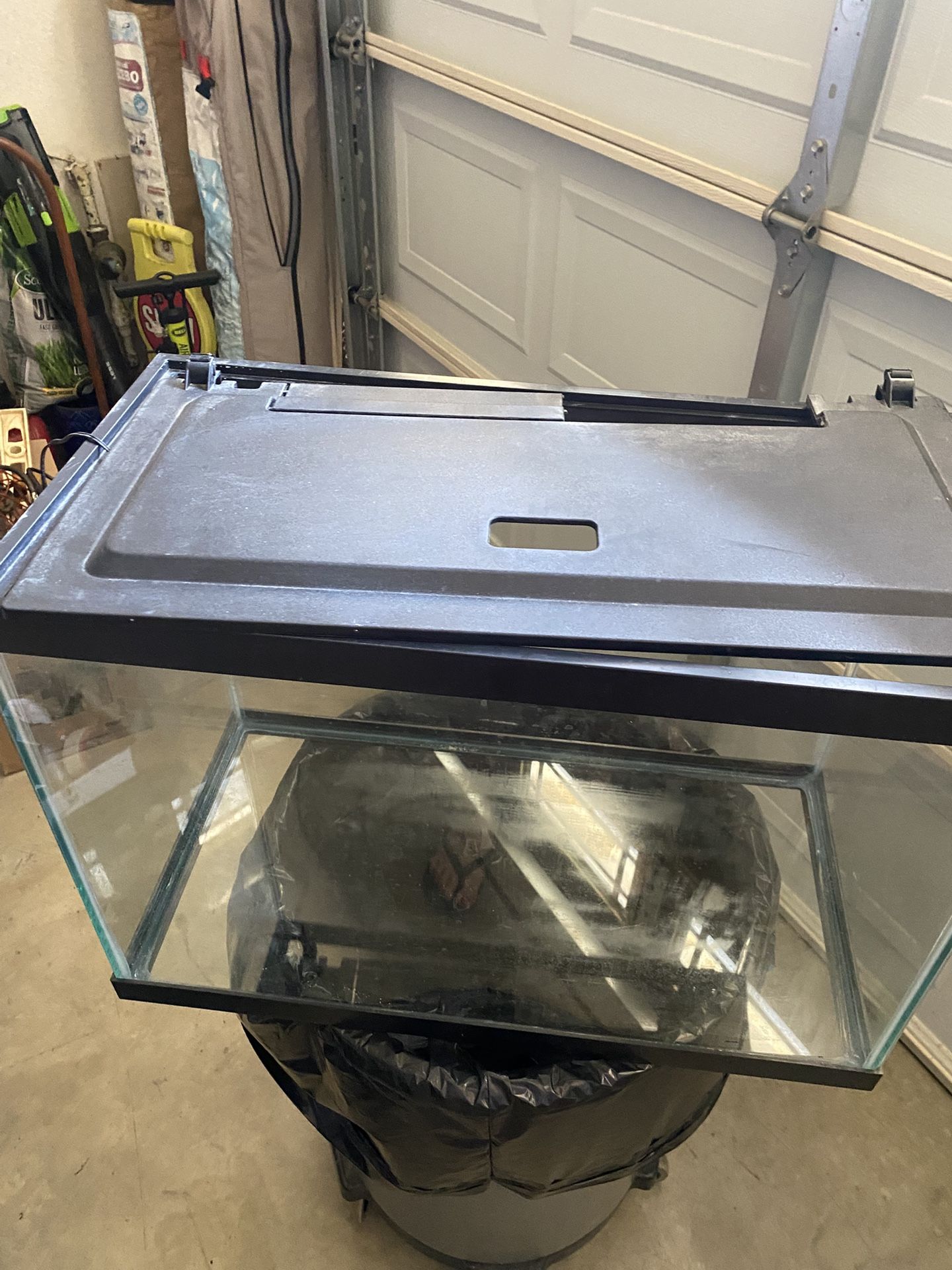 20 Gallon Fish Tank