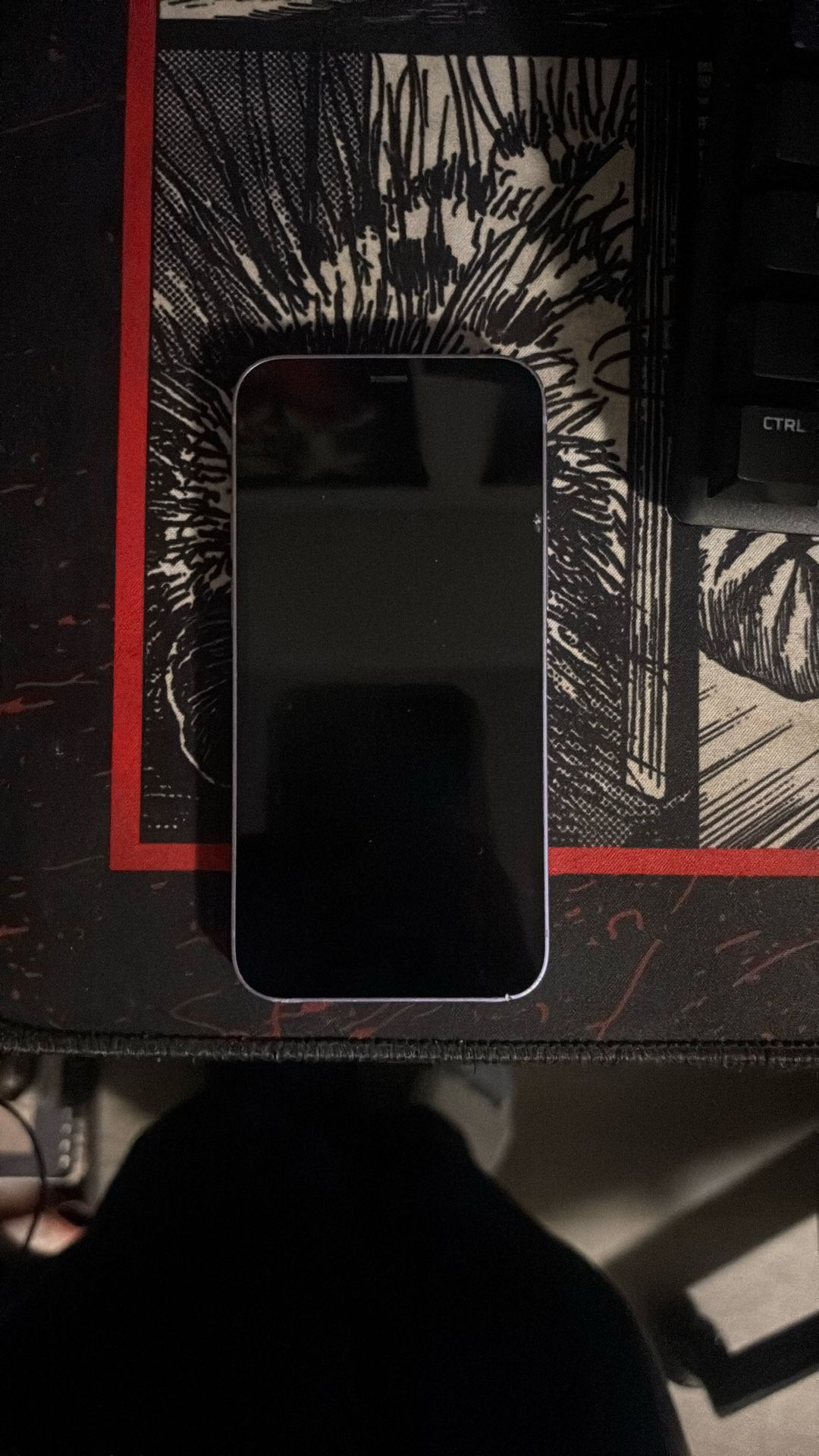 iPhone 12 Mini