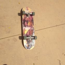 Skate Board