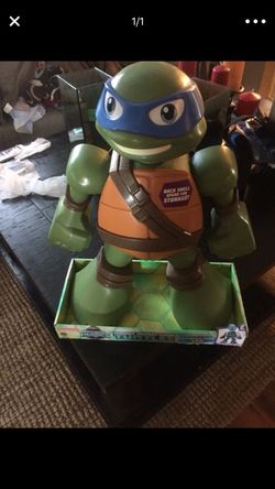 Larger size ninja turle