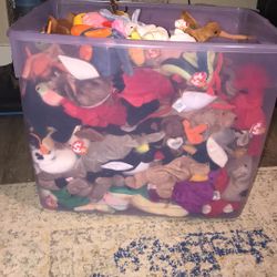 100’s Of Beanie Babies