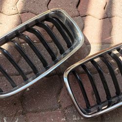 BMW Pair Grilles Not Sure Model? Sport