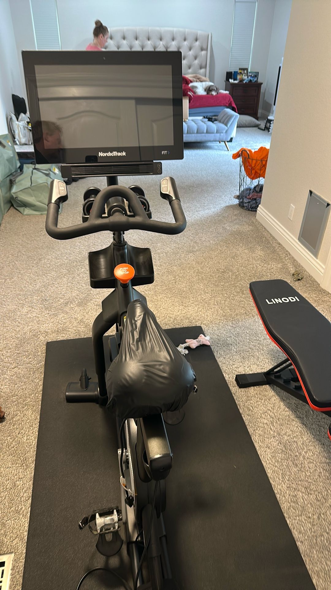 2023 Nordictrack S 22I