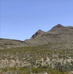 Hunting land for sale