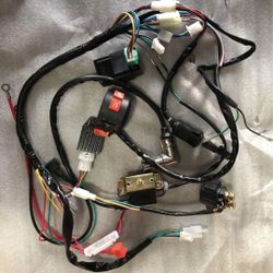 Brand New Atv Wireharness