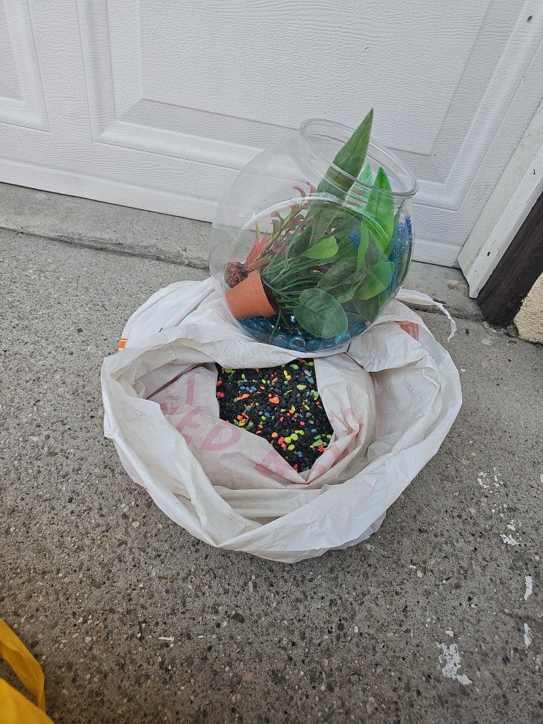 Fish Supplies