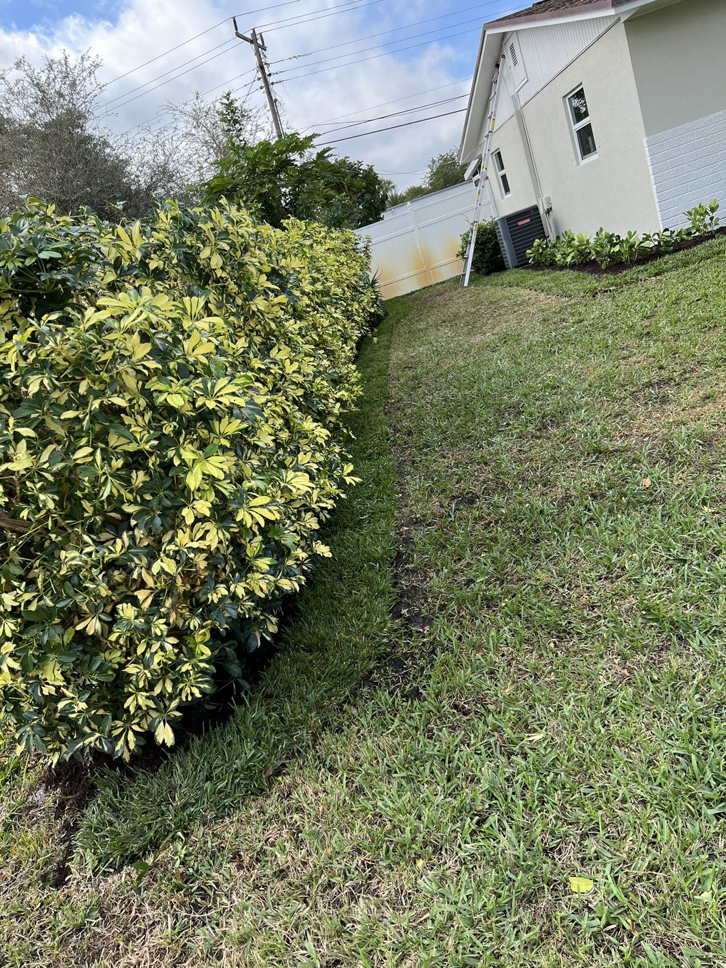 Mulch, Grass,