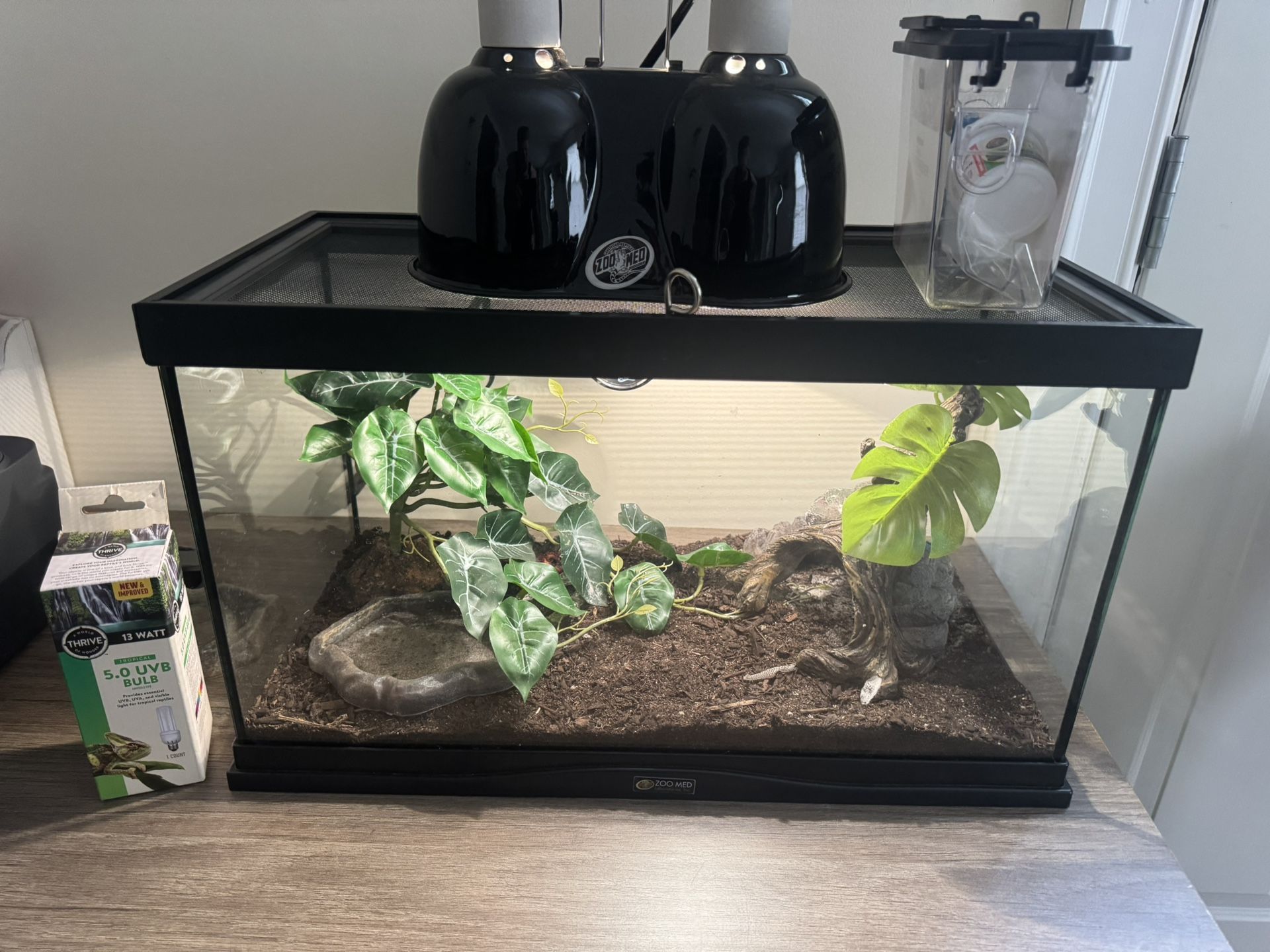 Snake/Lizard Tank