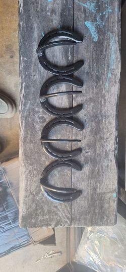 Horse shoe hanger