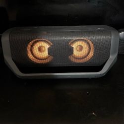 speakers ( for the low ) 