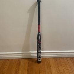 Softball Bat