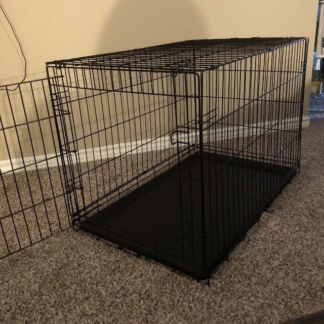 medium dog crate 