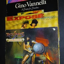 Give The Gift Of Music 🎶  Vintage Vinyl Record Lot  RICK JAMES B!%#@