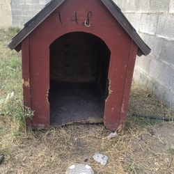 Dog House 