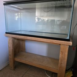 Fish Tank Aquarium 