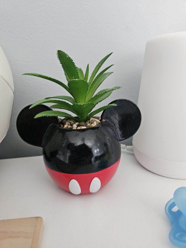 Mickey Mouse Planter With Succulent