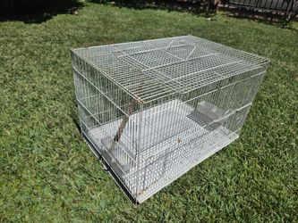 White Metal Wire Bird Cage