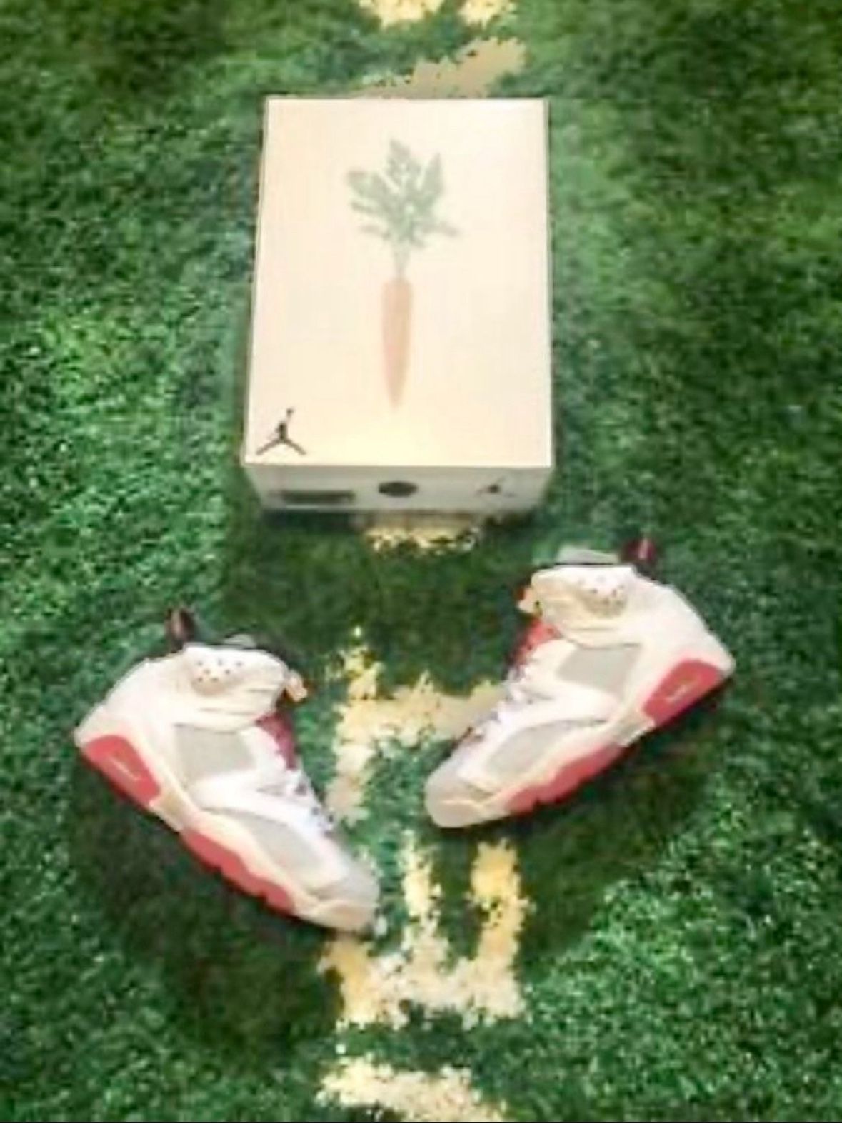 JORDAN 6 HARE