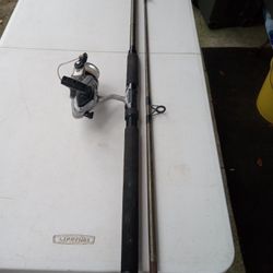 FISHING ROD AND REEL 