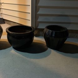Thre Black Wei’s For Flavor Wery Good New 60$