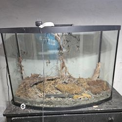  Tank- Water / Ecosystem 
