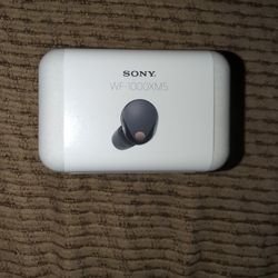 Sony WF-1000XM5