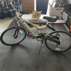 Mongoose Bicycle Adult