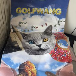 Golf Wang Kill Cat Poster  RARE