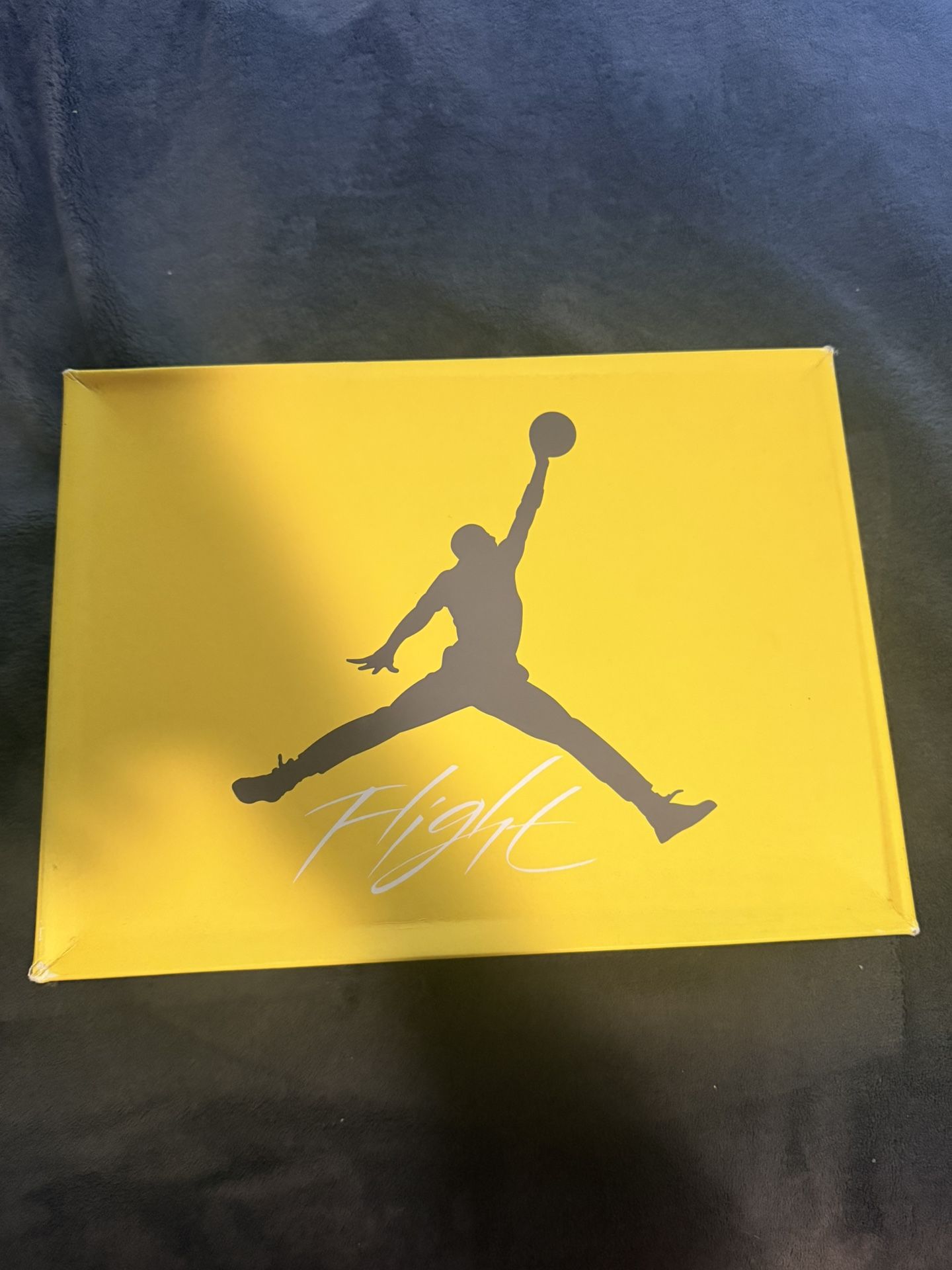 jordan 4’s “lighting”