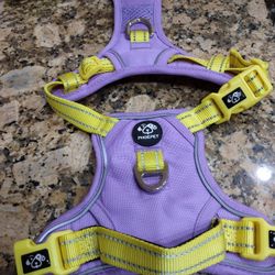 Dog Harness And Chain Collar