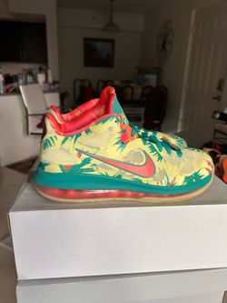 Nike LeBron 9 Low