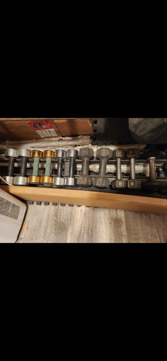 Dumbbells Weight Workout Exercise Equipment $10 Pair