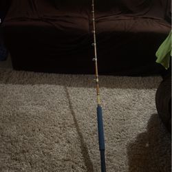 Custom Made Rod 