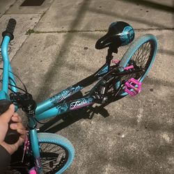 Fairly New Girls Bike $60