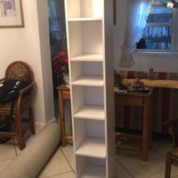 Bookcase. Tall And Narrow